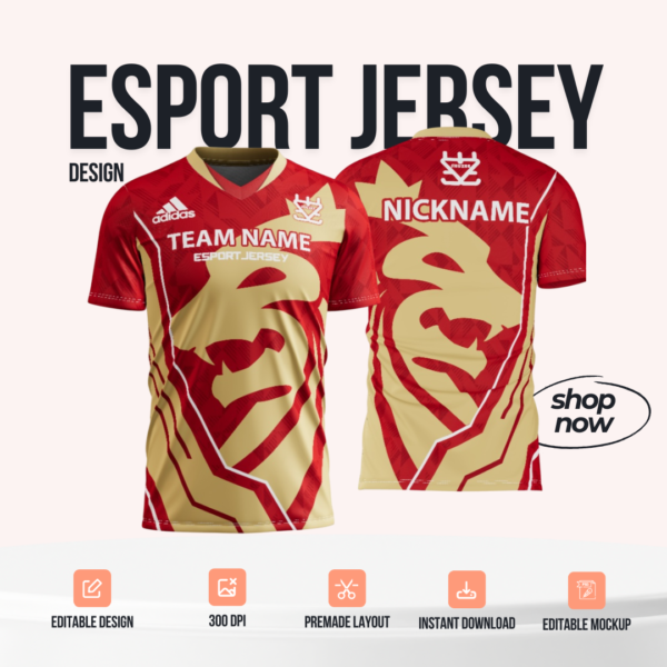 E-Sport Jersey Design - PC21